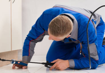 Pest Control Services in Jaipur, How To Choose The Best Pest Control Services In Jaipur?