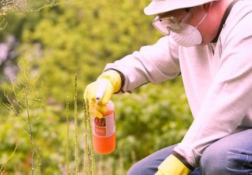 Pest Control Services, Deciding On Competent Pest Control Services