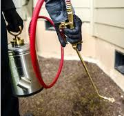 Pest Control, PEST CONTROL SERVICES: IT STARTS WITH YOU BECAUSE PREVENTION IS ALWAYS CHEAPER THAN CURE