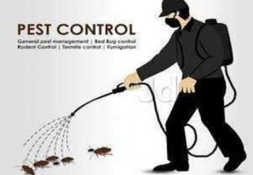 Pest Control Services, 6 MAIN REASONS WHY PEST CONTROL SERVICES ARE VITAL PART OF OUR LIVES