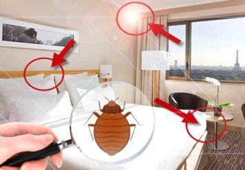 , 5 Unusual Bed Bug Hiding Places&nbsp;