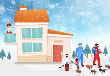 , How to Keep Your Place Pest-Free This Winter with PCS in Bikaner