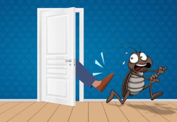 , Kick Out Cockroaches from Your Apartment with These 5 Steps