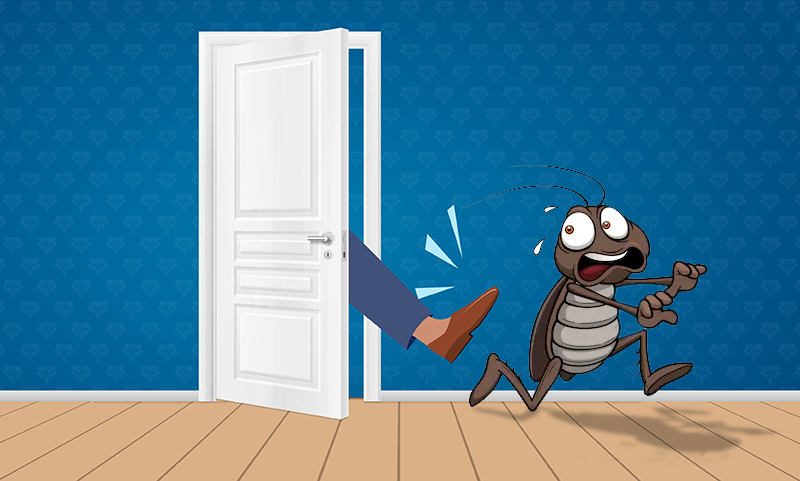 , Kick Out Cockroaches from Your Apartment with These 5 Steps