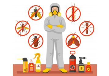 , Top 5 Deadly Species Threatening Your Home