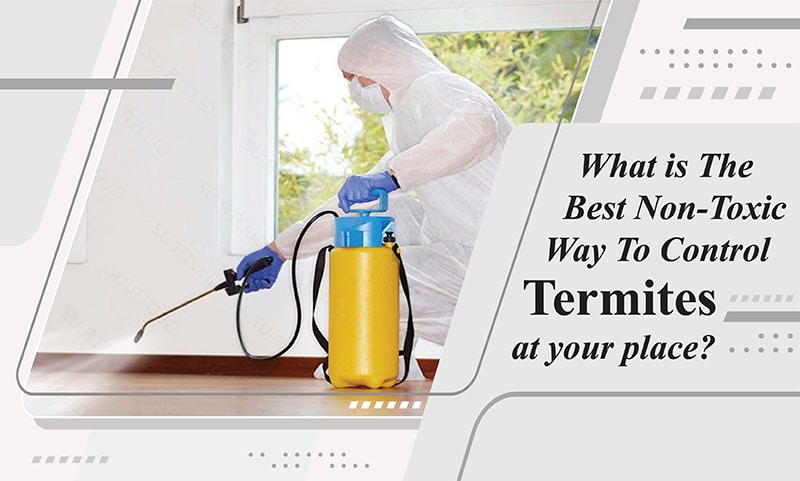 , What Is the Best Non-Toxic Way to Control Termites at Your Place?
