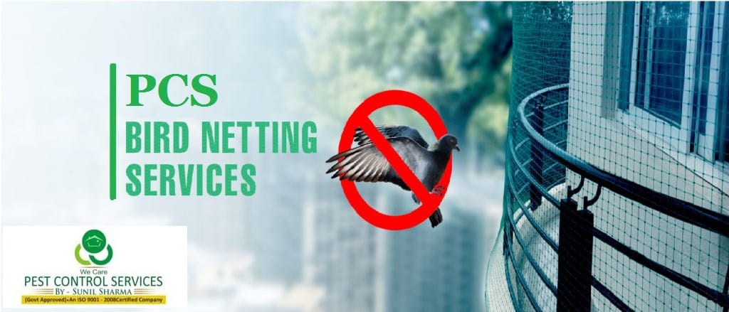 , How to Overcome the Problem of Birds with Professional Bird Netting?