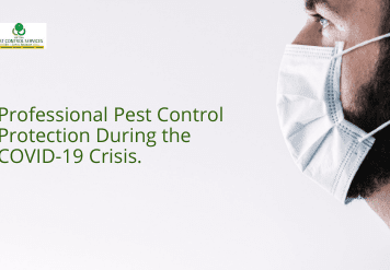 , Professional Pest Control Protection During the COVID-19 Crisis