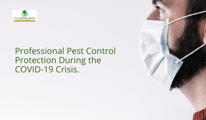 Professional Pest Control, Professional Pest Control Protection During the COVID-19 Crisis