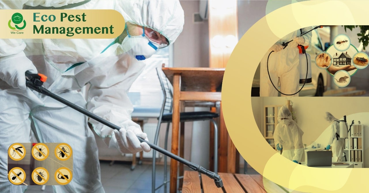 Pest control in Surat Termite control in Surat