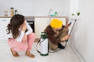 Professional Pest Control Services, Why DIY Pest Control is a Bad Idea?