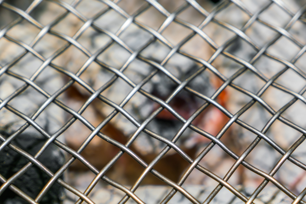 bird netting services in Jaipur, Bird Netting Services in Jaipur – Protect Your Space from Unwanted Birds