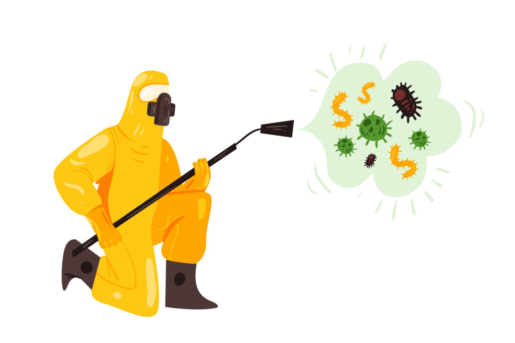 Best termite treatment in Jaipur, Best Termite Treatment in Jaipur