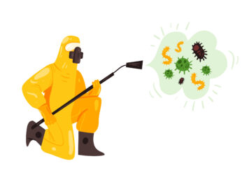 Best termite treatment in Jaipur, Best Termite Treatment in Jaipur