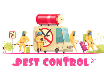 Best Pest Control in Ajmer, Best Pest Control in Ajmer